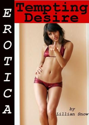 Book cover of Erotica: Tempting Desire, Tales of Sex