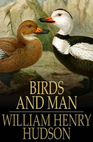 Cover of the book Birds and Man by Russell Doubleday