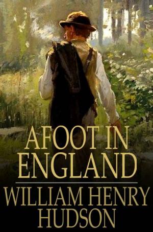 Book cover of Afoot in England