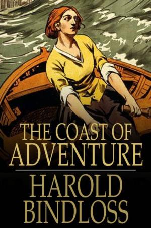 bigCover of the book The Coast of Adventure by 