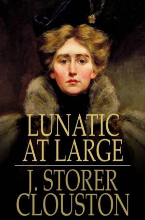 Cover of the book Lunatic at Large by Annie F. Johnston
