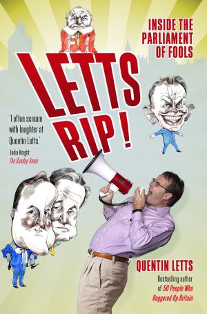 Cover of the book Letts Rip! by Danny Danziger