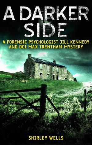 Cover of the book A Darker Side by Pat McIntosh