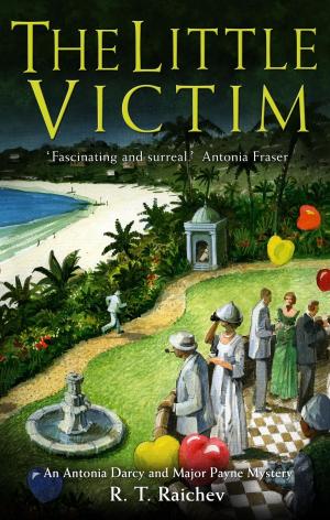bigCover of the book The Little Victim by 