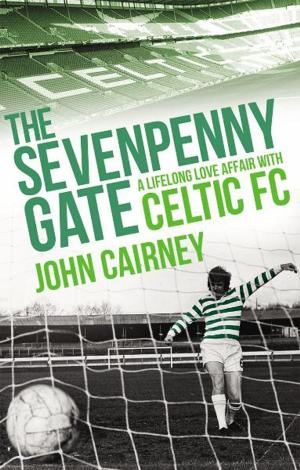 Book cover of The Sevenpenny Gate
