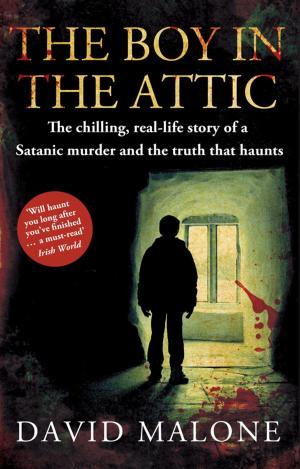 Book cover of The Boy in the Attic