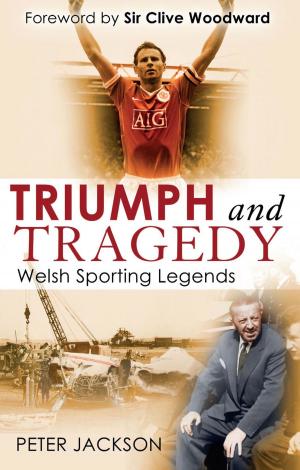 Cover of the book Triumph and Tragedy by Derek Flory, Blanche Le Fleur, Sybil Le Fleur