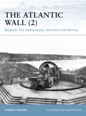 Cover of the book The Atlantic Wall (2) by Clare Allan