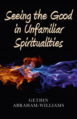 Cover of the book Seeing the Good in Unfamiliar Spiritualities by George Elerick