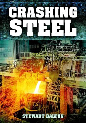bigCover of the book Crashing Steel by 