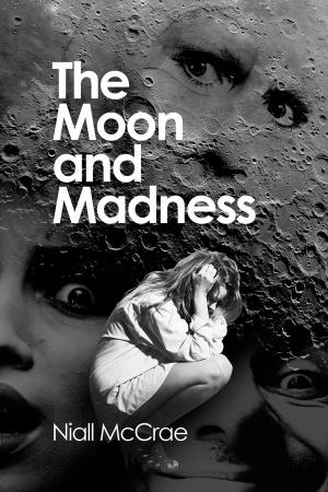 bigCover of the book The Moon and Madness by 
