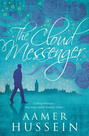 Book cover of The Cloud Messenger
