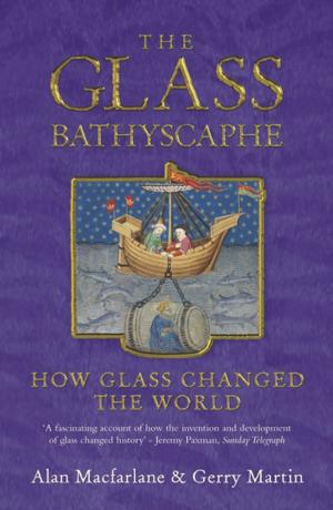 Cover of the book The Glass Bathyscaphe by Julie Summers