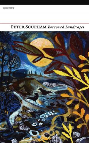 Cover of the book Borrowed Landscapes by Frederic Raphael