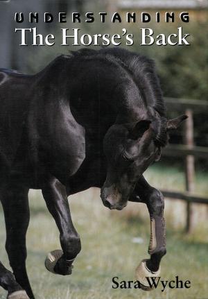 Cover of the book Understanding The Horse's Back by Melanie East