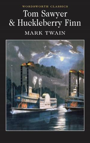 Book cover of Tom Sawyer & Huckleberry Finn