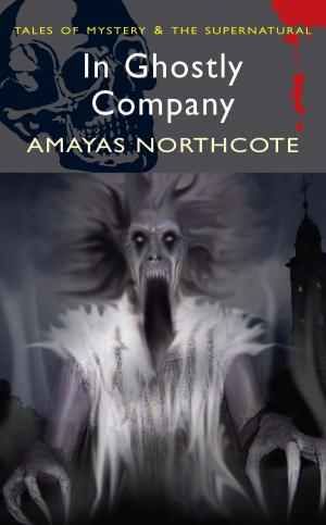 Cover of the book In Ghostly Company by Karin De Havin