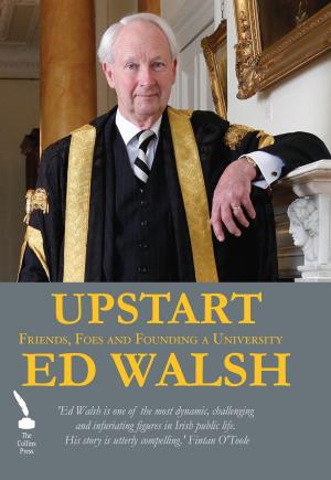 Cover of the book Upstart – Friends, Foes and Founding a University by Liam Ó Murchú