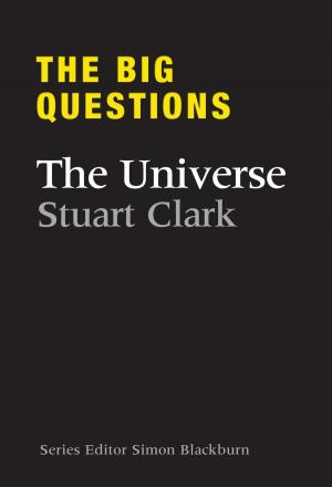 Book cover of The Big Questions The Universe