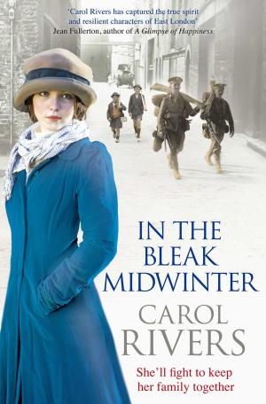 Cover of the book In the Bleak Midwinter by Paul Kimmage