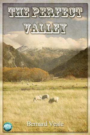 Cover of the book The Perfect Valley by Chris Cowlin