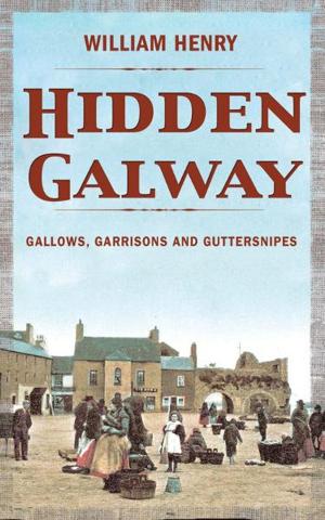 Cover of the book Hidden Galway: A Secret History by Ann Matthews