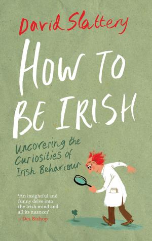Cover of the book How to Be Irish by Paddy O'Brien