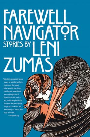 Book cover of Farewell Navigator
