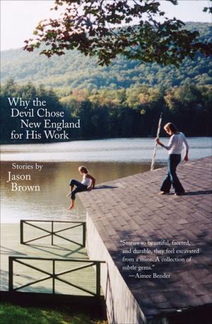 bigCover of the book Why the Devil Chose New England for His Work by 