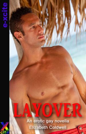 Cover of the book Layover by Viva Jones, Dominic Santi, Alanna Appleton, Jodie Johnson-Smith, Morgan Black