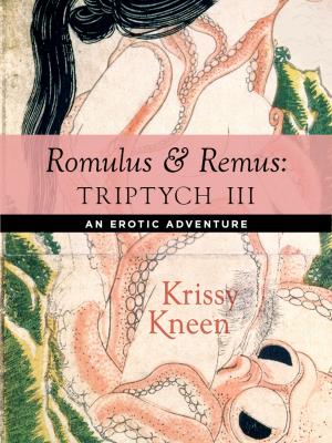 Book cover of Romulus and Remus