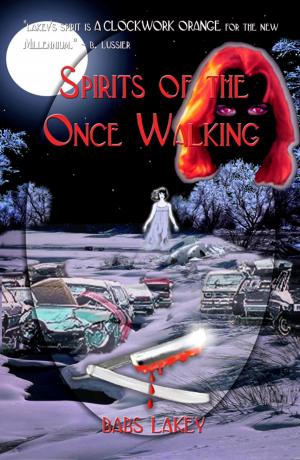 Cover of the book Spirit of the Once Walking by Morgan St. James