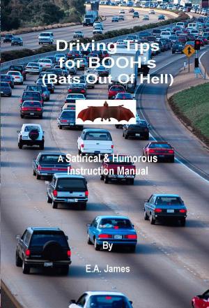 bigCover of the book Driving Tips for BOOH's (Bats Out Of Hell) - Ebook by 