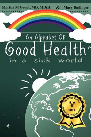 Cover of An Alphabet of Good Health in a Sick World