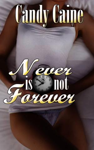 bigCover of the book Never is Not Forever by 