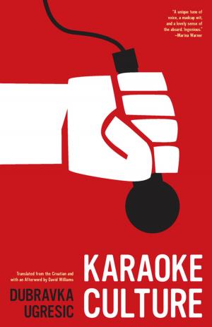 Cover of the book Karaoke Culture by Antoine Volodine