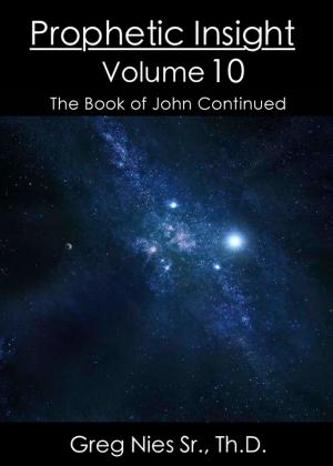 Cover of the book Prophetic Insight Volume 10 by Britt Gillette
