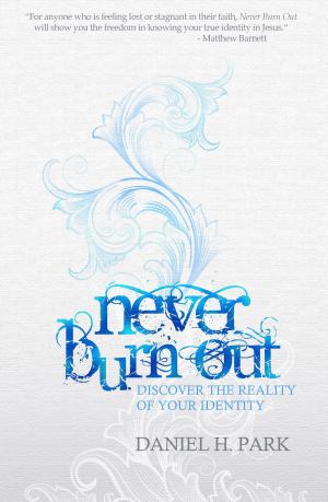 Cover of the book Never Burn Out by R. I. Hope