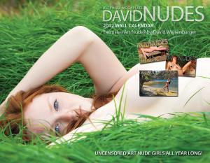 Cover of 012 David Nudes Art Nude Calendar Enhanced Edition