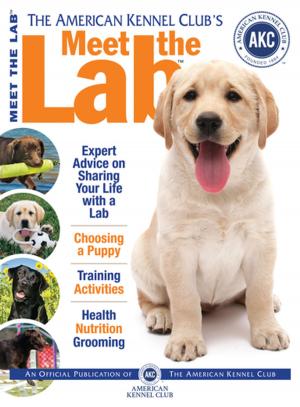 Cover of the book Meet the Lab by Richard G. Beauchamp