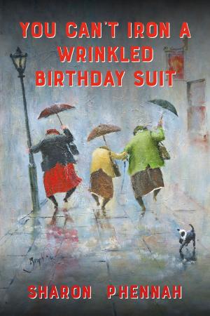 Cover of the book You Can't Iron a Wrinkled Birthday Suit by Jackie Gaskins