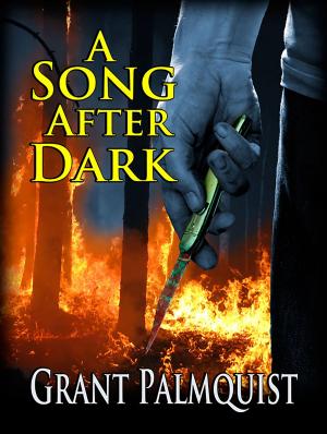 Cover of the book A Song After Dark by Julian Stark