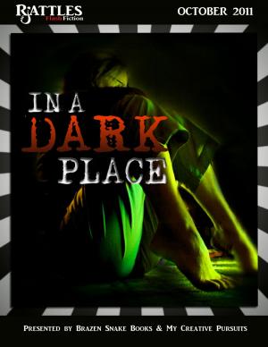 Cover of the book In a Dark Place by Rachel Ellyn