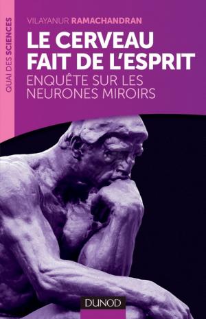 Cover of the book Le cerveau fait de l'esprit by Pierre Barthélemy