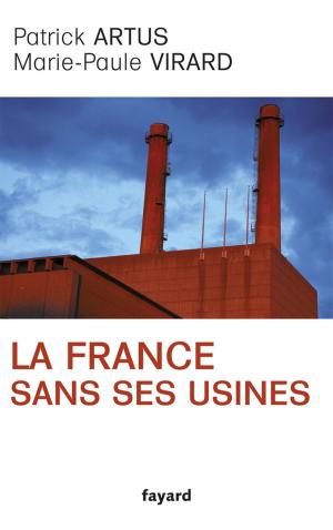 Cover of the book La France sans ses usines by Jean-Claude Barreau