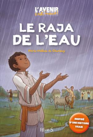 Cover of the book Le raja de l'eau by Nathalie Somers