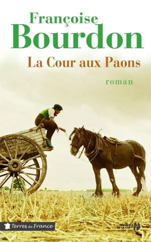 Cover of the book La Cour aux paons by Jean-Yves LE NAOUR