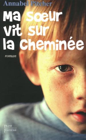 Cover of the book Ma soeur vit sur la cheminée by David A. CROWDER