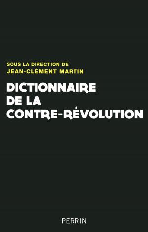 Cover of the book Dictionnaire de la Contre-Révolution by John CONNOLLY