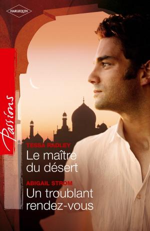 Book cover of Le maître du désert - Un troublant rendez-vous